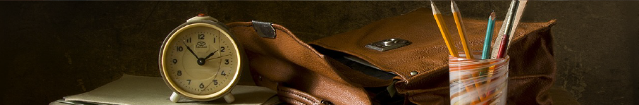 Reflective teaching and scholarship banner