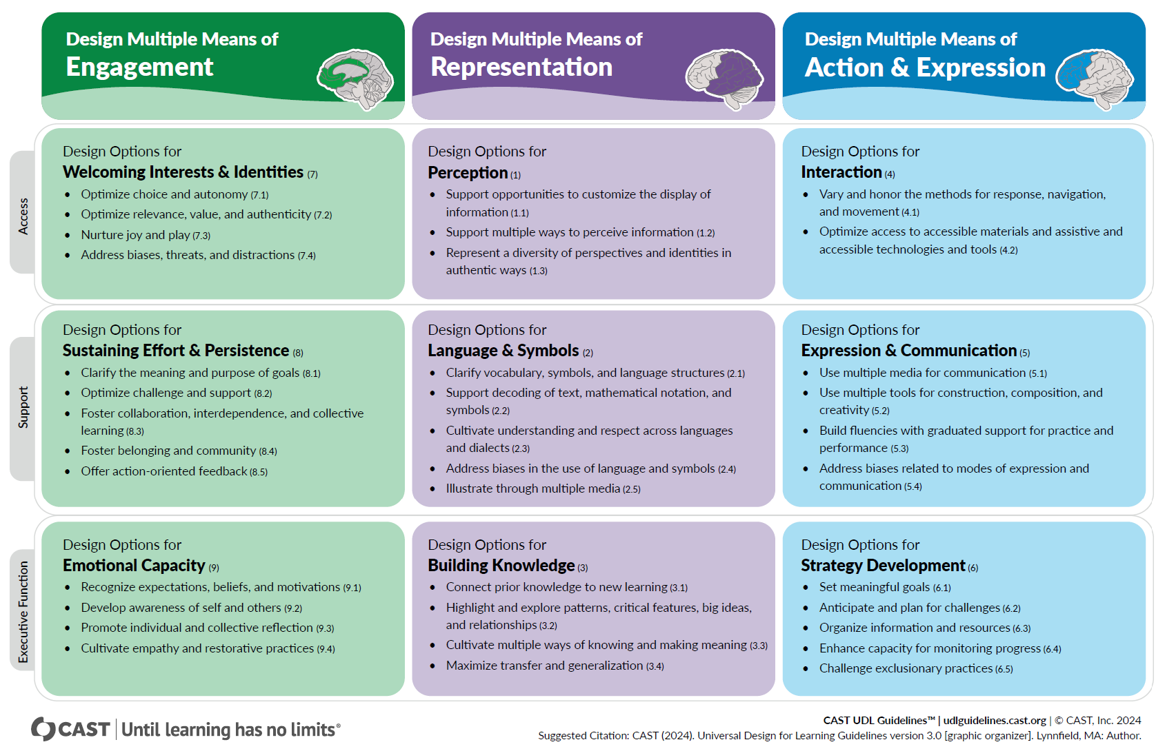 CAST Universal Design for Learning Guidelines graphic